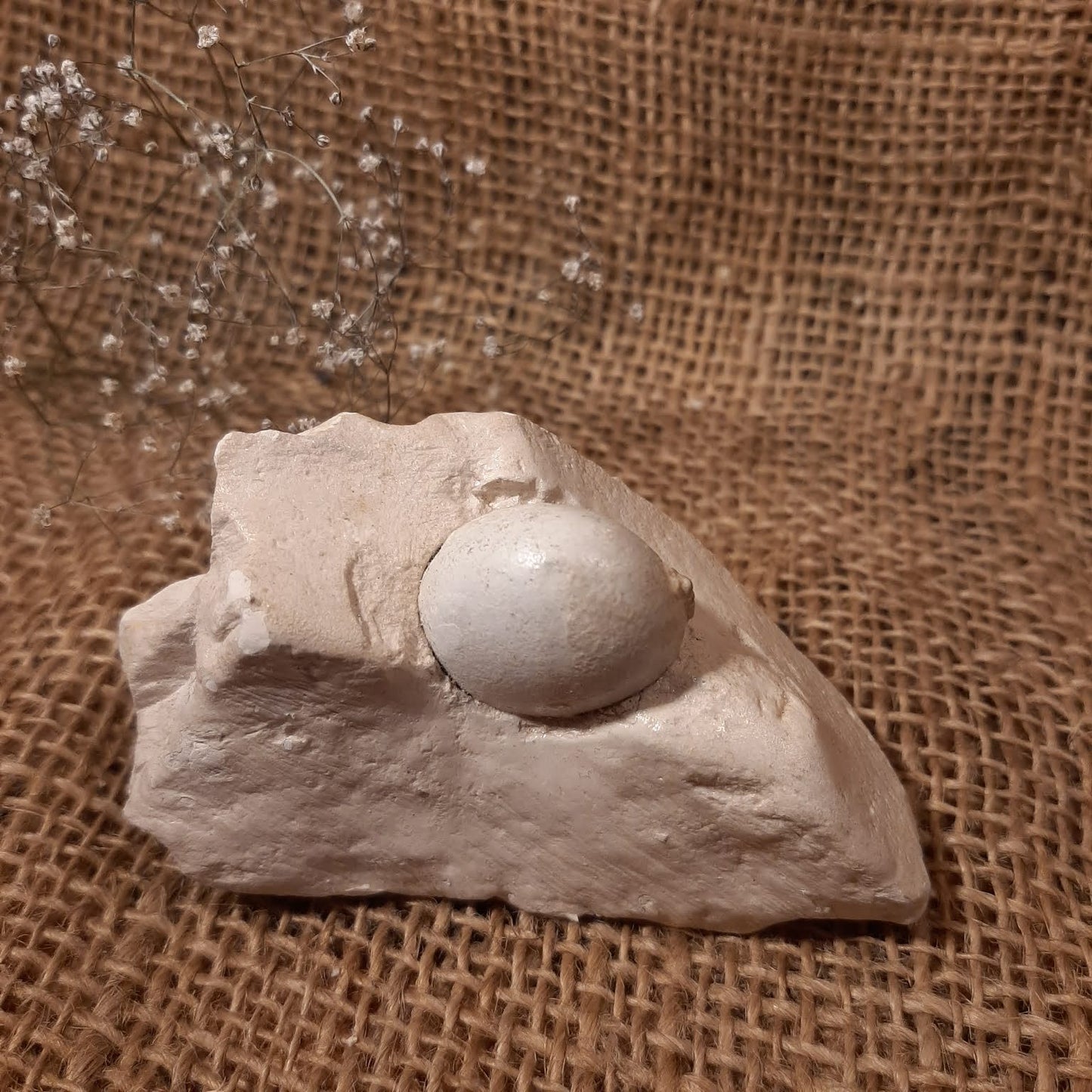 Menoliten-Opal