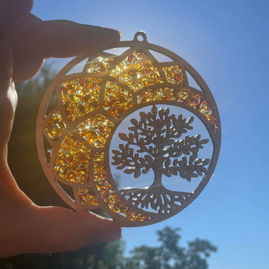 Nahaufnahme: Goldene Bernsteinstücke auf Birkenholz-Baum – Fensterbild leuchtet warm im Sonnenlicht