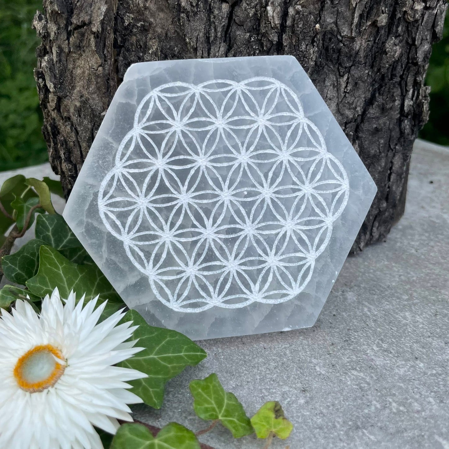 Selenit-Scheibe "BLUME DES LEBENS"-hexagonförmig