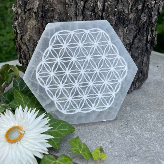 Selenit-Scheibe "BLUME DES LEBENS"-hexagonförmig