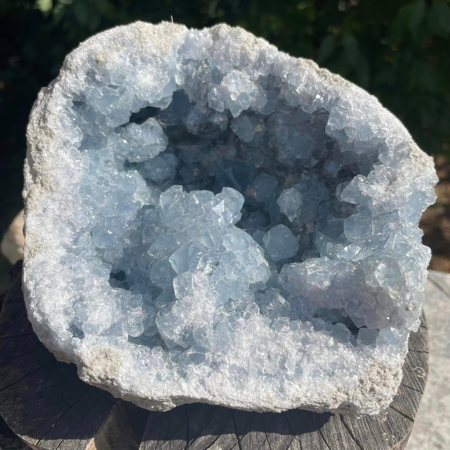 COELESTIN-DRUSE