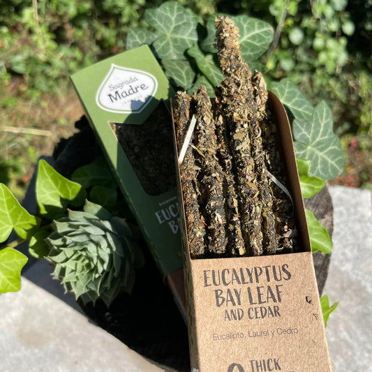 Nahaufnahme Eucalyptus, Lorbeer & Zedernholz Räucherstäbchen – belebende Naturaromen, 100% natürliche Inhaltsstoffe von Sagrada Madre