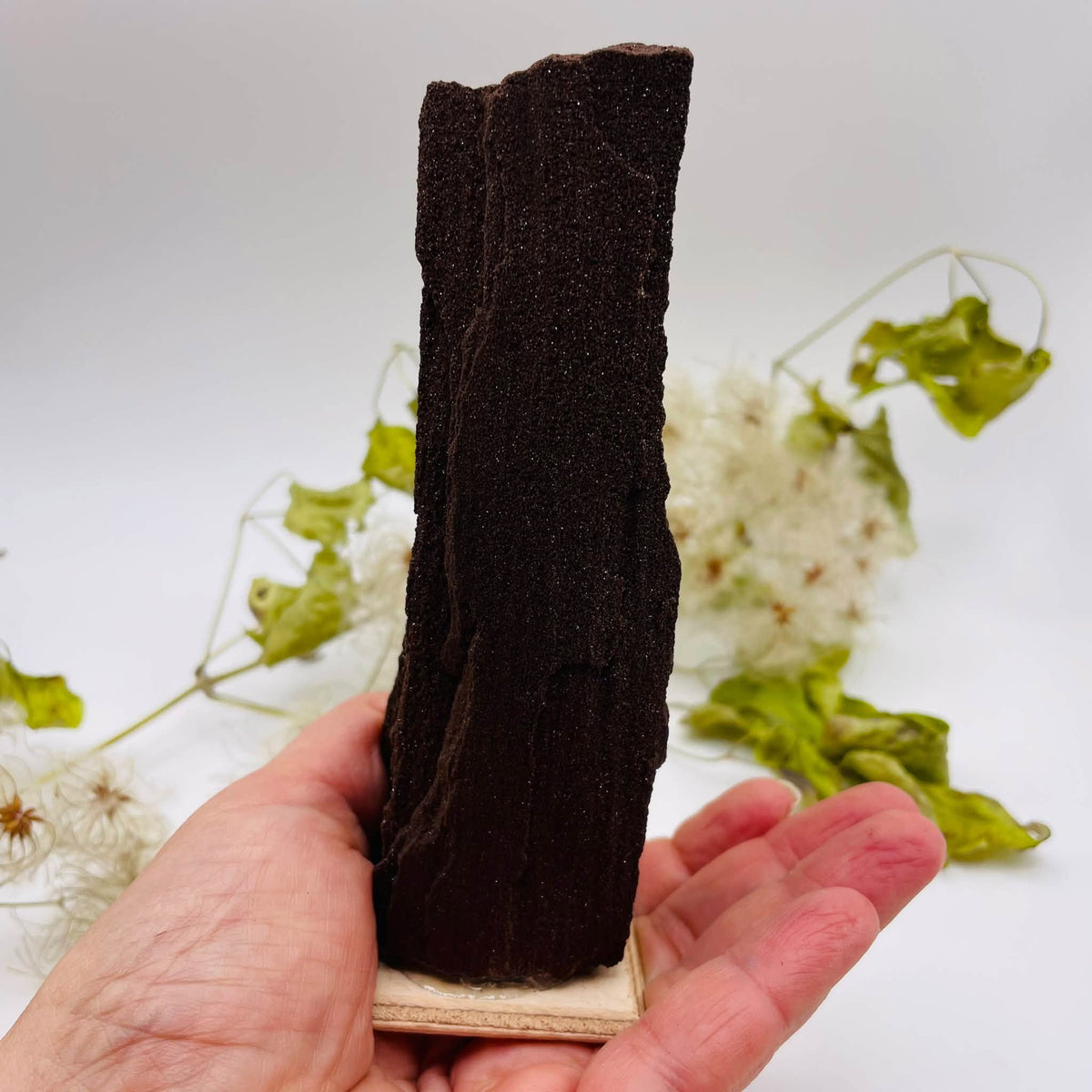 Feenholz Nr. 1 auf kleiner Holzplatte in einer Hand, mit länglicher Form und natürlicher Holzstruktur – handverlesen von WUNDERSTEIN