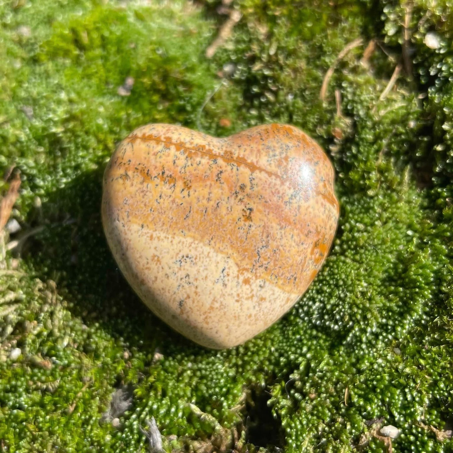 LANDSCHAFTSJASPIS - Herz gebohrt 30mm