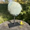 Achat-Lolly BLAU