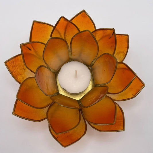 Lotusblüte ORANGE