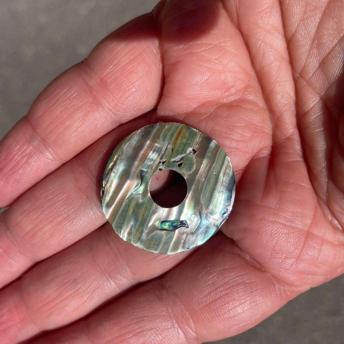 PAUA SHELL - Donut 30mm