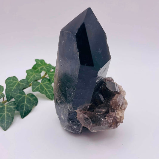 Rauchquarz-Rohstufe von oben – natürliche Kristallformation, handverlesen von WUNDERSTEIN