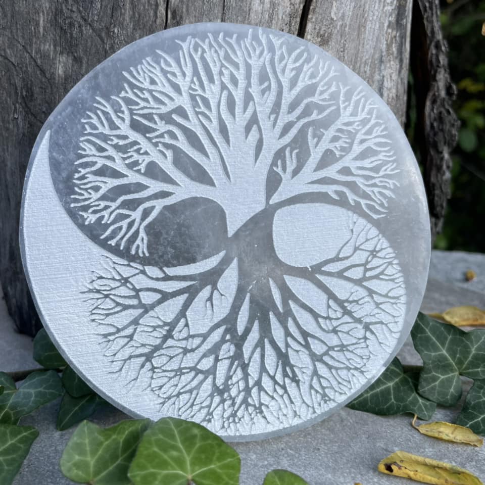 Runde Selenit-Ladeplatte mit graviertem Yin-Yang-Baum, ca. 12 cm Durchmesser und 1,5 cm dick, vor Holz und Efeu – handverlesen von WUNDERSTEIN.