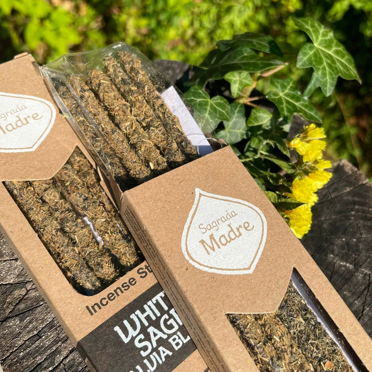 Nahaufnahme Weißer Salbei Räucherstäbchen – würzig-krautiger Naturduft, harmonisierend & raumreinigend, 100% natürlich von Sagrada Madre