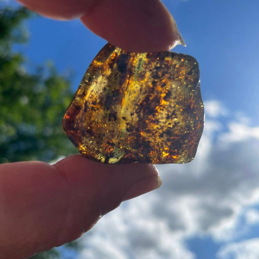 Echter Bernstein Naturstein – Rohbernstein & Schmuck bei WUNDERSTEIN