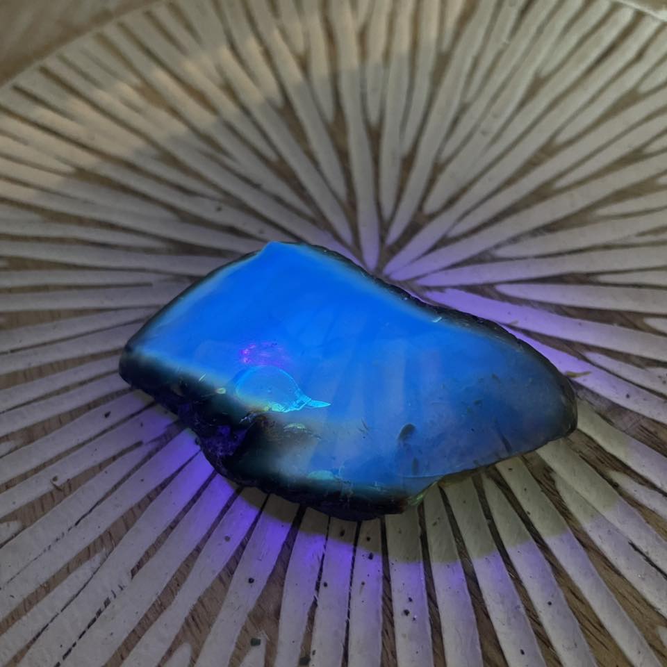 Blauer Bernstein UV-Licht Fluoreszenz – WUNDERSTEIN