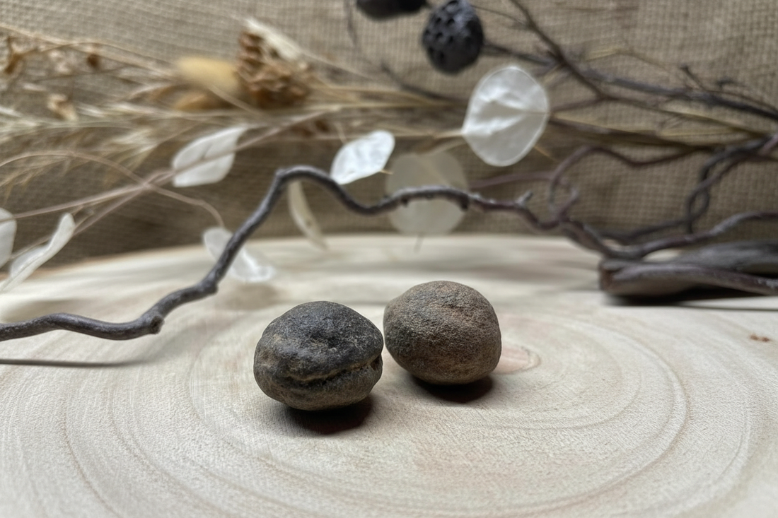 Moqui Marbles Paar – Schamanensteine aus Utah, handverlesen von WUNDERSTEIN