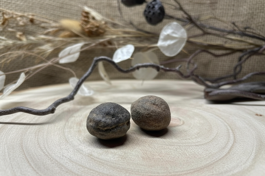 Moqui Marbles Paar – Schamanensteine aus Utah, handverlesen von WUNDERSTEIN