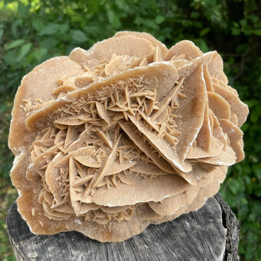 Sandrosen – Wunderschöne Gipskristalle aus der Wüste