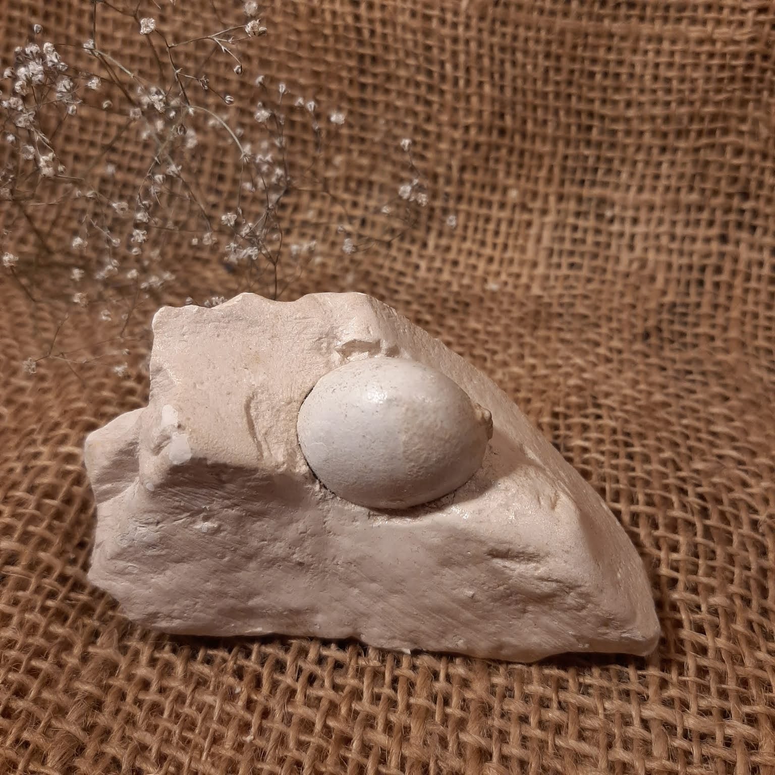 Menoliten-Opal