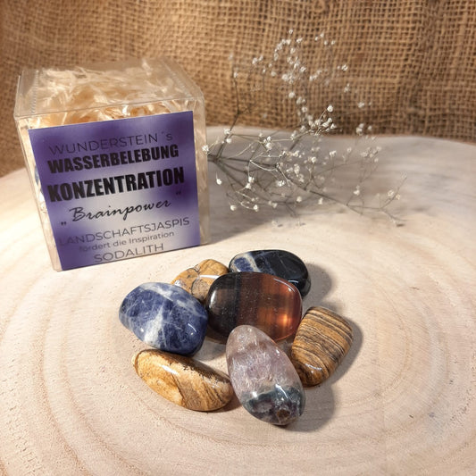 WUNDERSTEIN'S Wasserbelebung - Konzentration