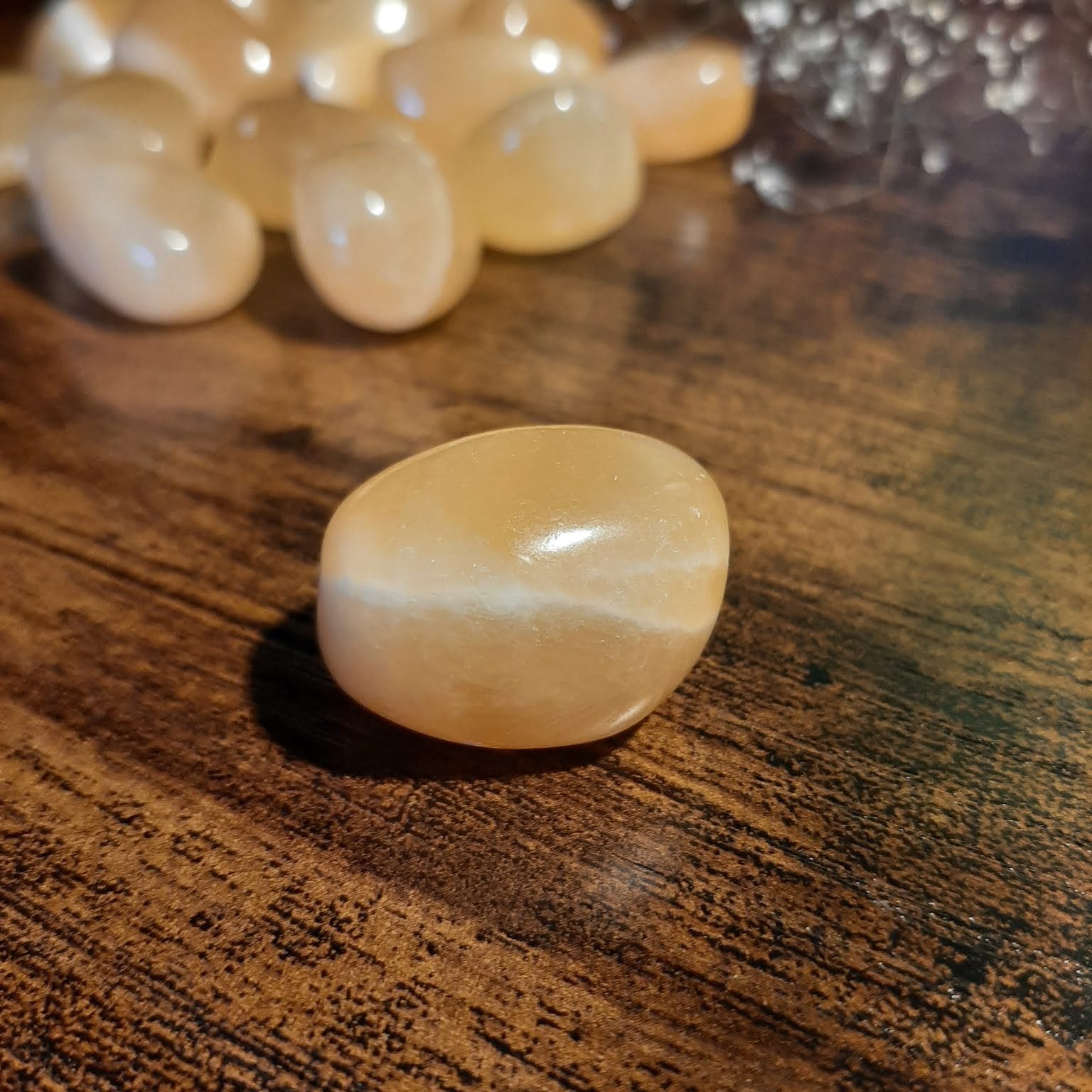 Orangencalzit