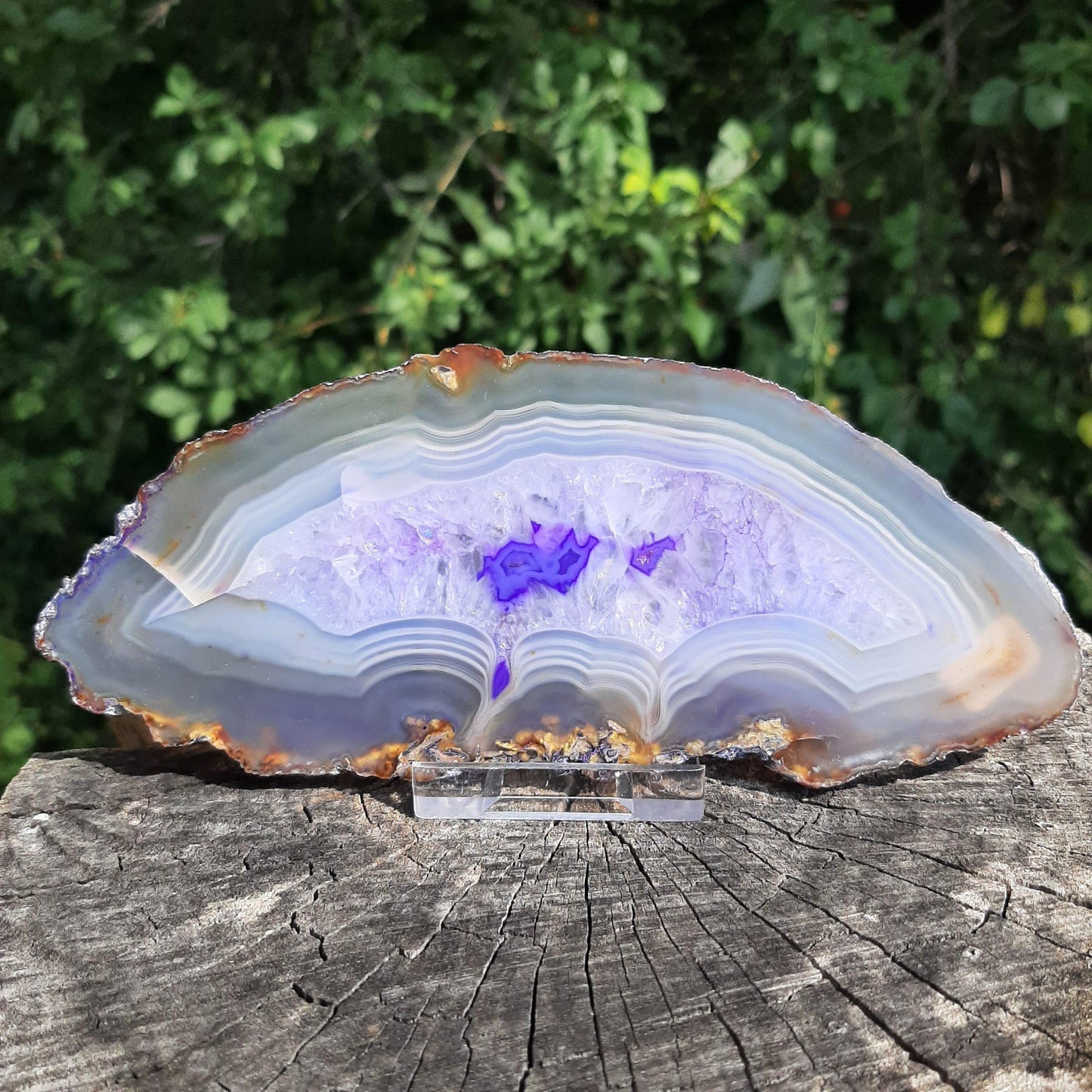 Achatscheibe VIOLETT