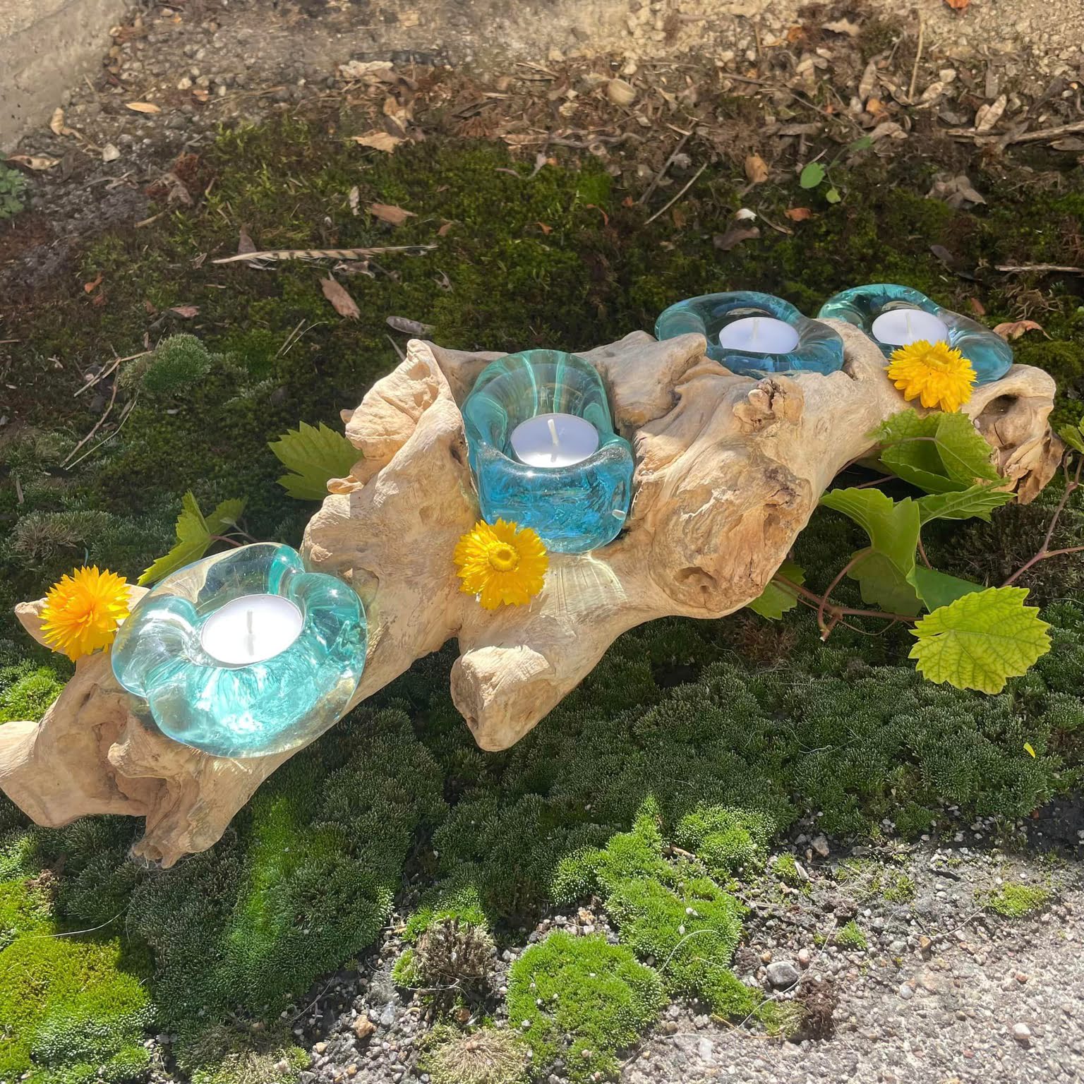 Teelichthalter aus Kaffeestrauch-Wurzelholz 4-flammig mit Upcycling-Glasschälchen – Unikat von WUNDERSTEIN