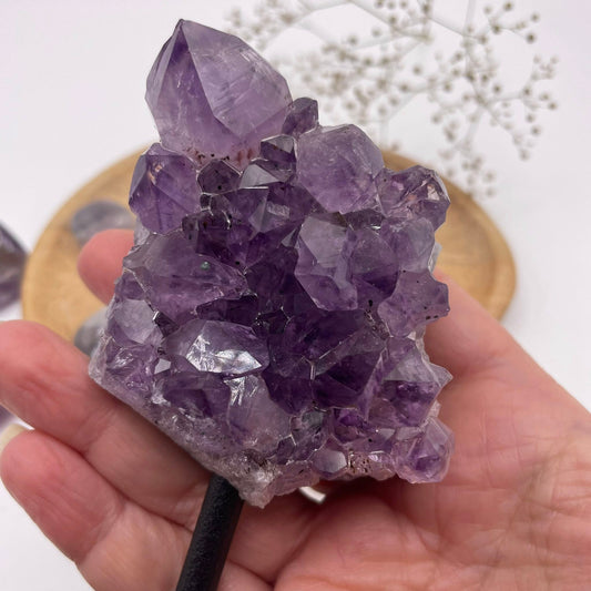 Amethyst auf Metallständer Nr. 1