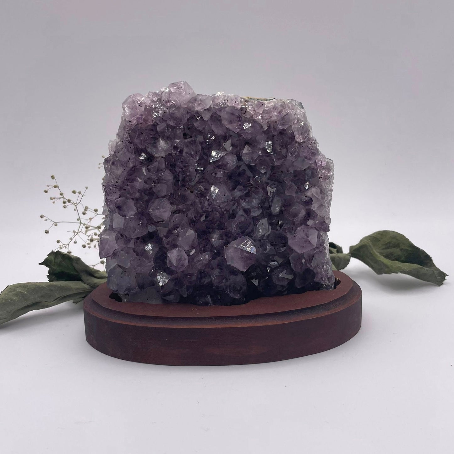 Amethystdrusenstück auf Holz Nr. 3