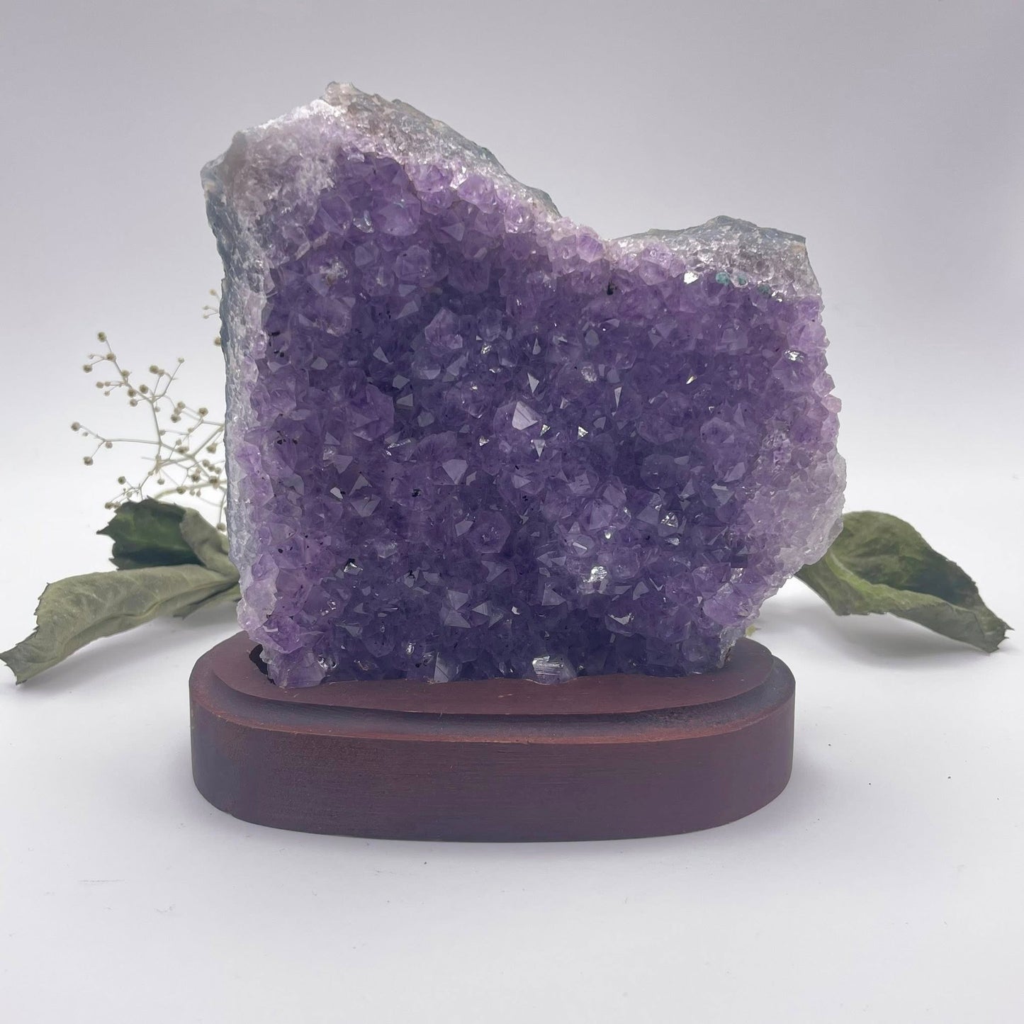 Amethystdrusenstück auf Holz Nr. 6
