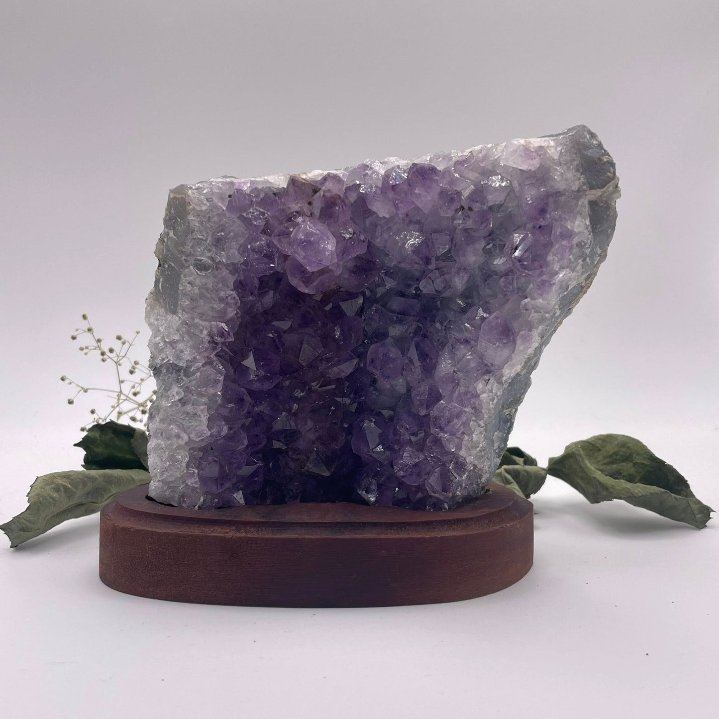 Amethystdrusenstück auf Holz Nr. 7