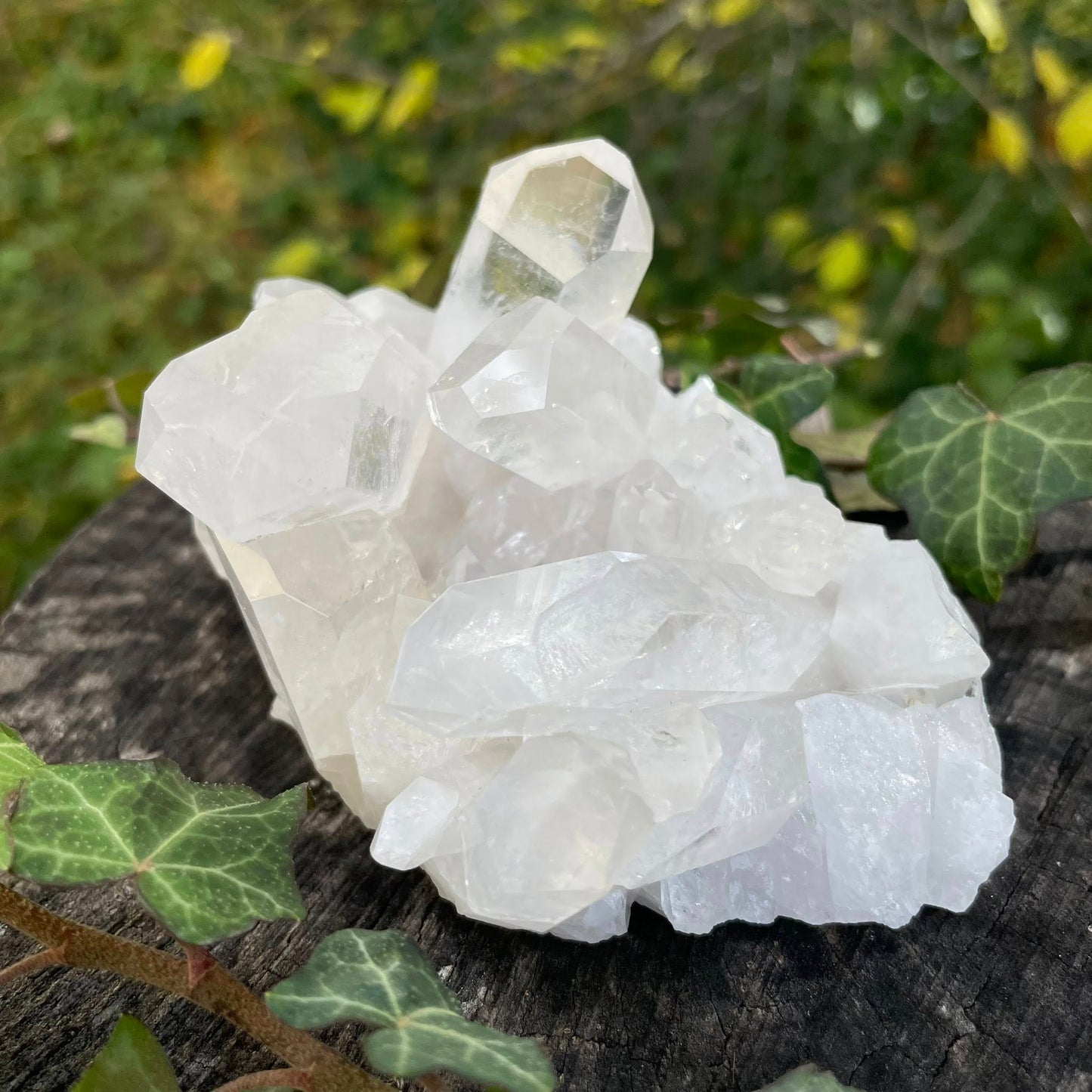 Bergkristall-Stufe Nr.3