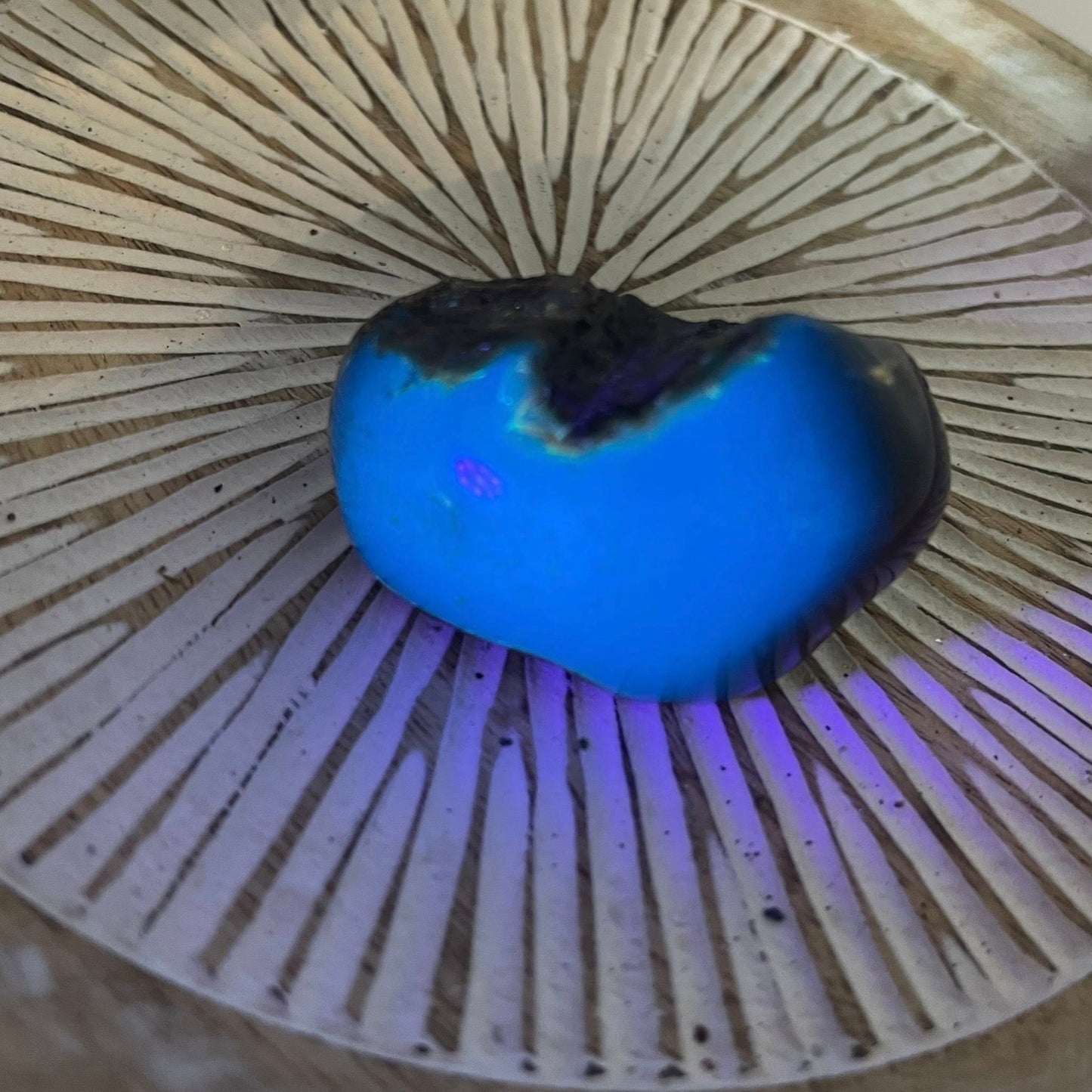 Blauer Bernstein Nr. 1