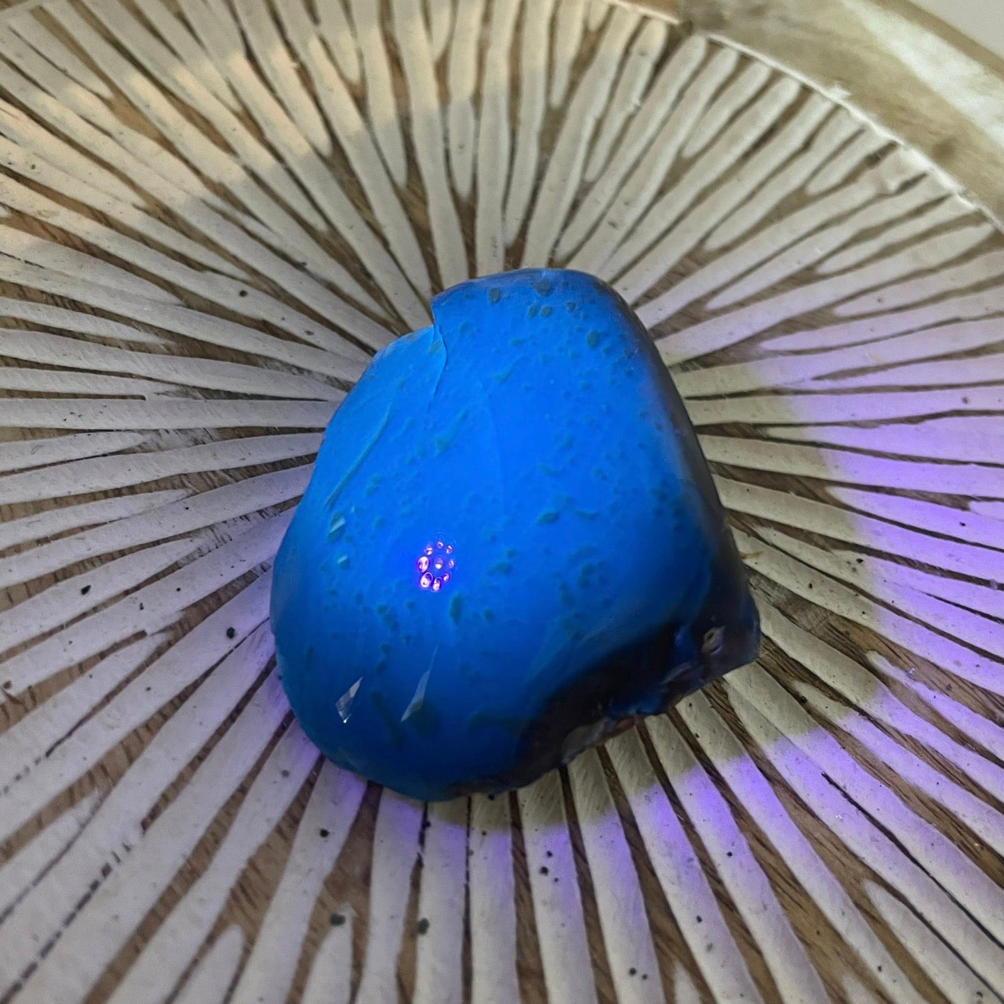 Blauer Bernstein Nr. 2