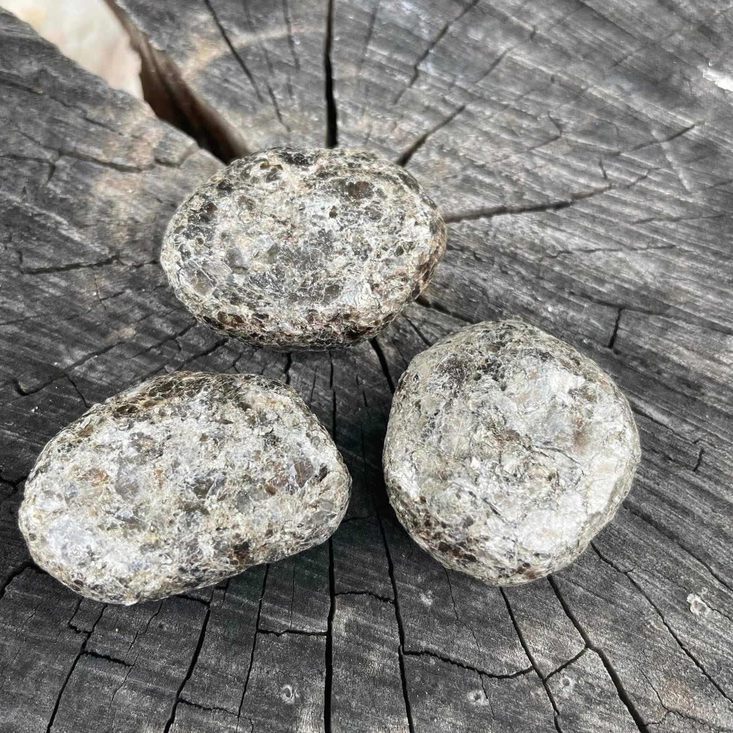 BIOTIT-LINSE