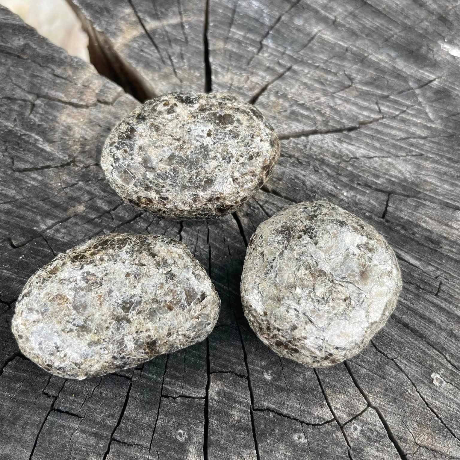 BIOTIT-LINSE