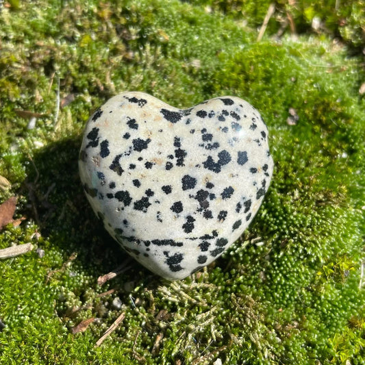 DALMATINERJASPIS - Herz gebohrt 30mm