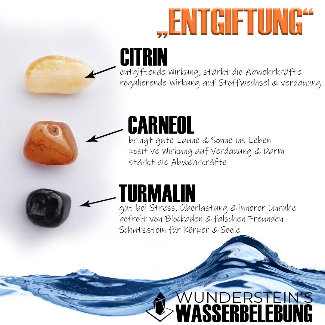 Wasserbelebung "ENTGIFTUNG"