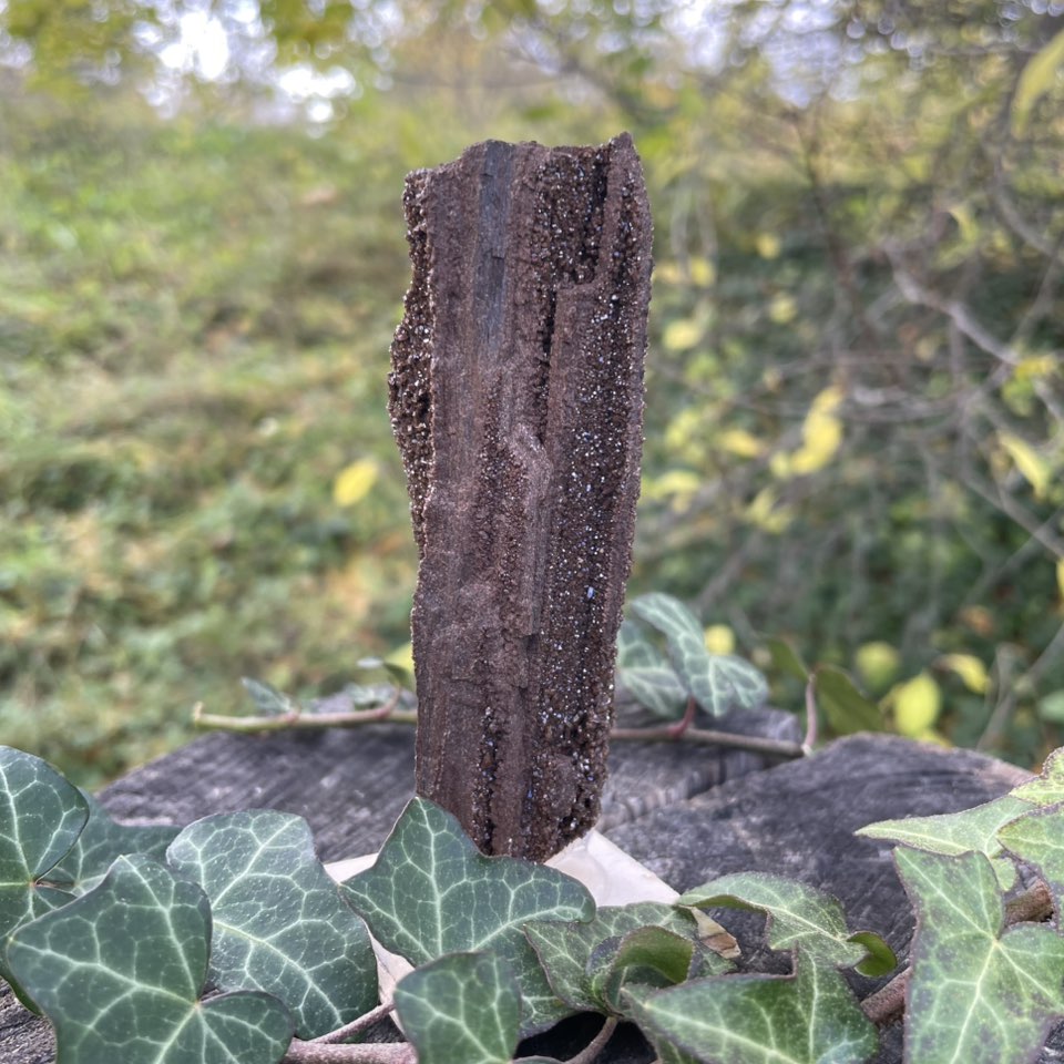 Feenholz – versteinertes Holz mit funkelnden Quarzkristallen, Unikat von WUNDERSTEIN
