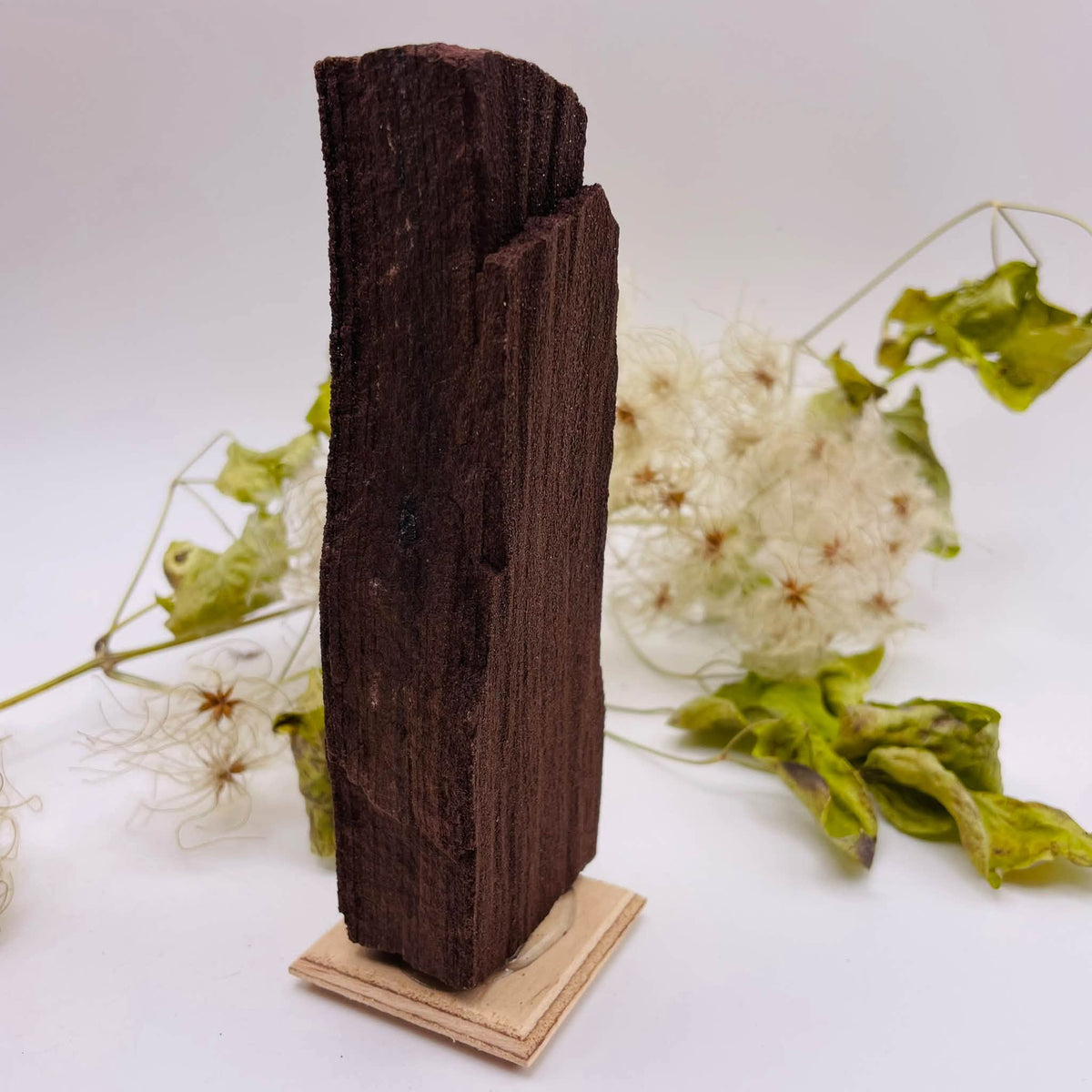 Feenholz Nr. 1 – versteinertes Holz mit Quarzkristallen, ca. 4 × 3 × 13,5 cm, auf Holzplatte – Unikat von WUNDERSTEIN
