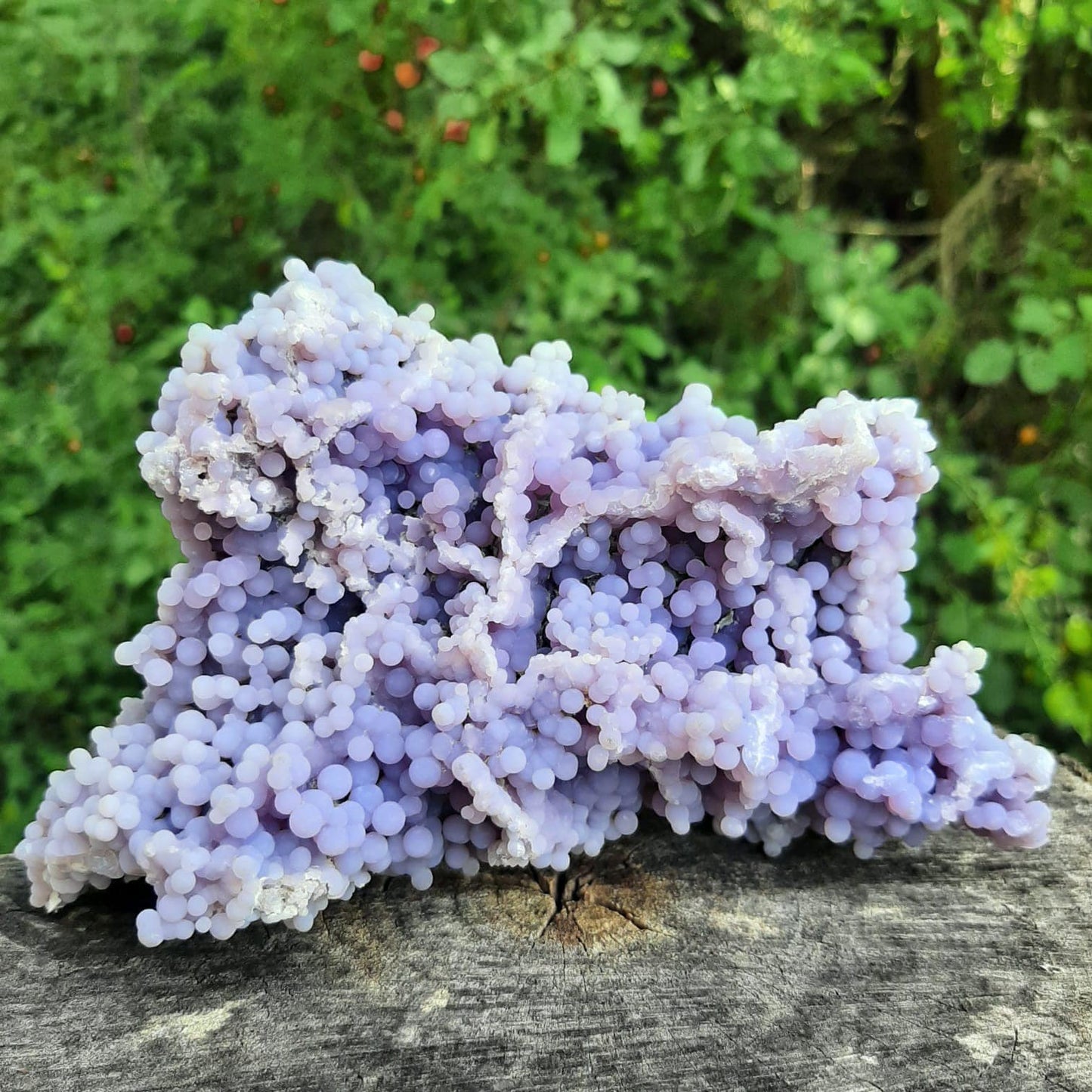 Traubenchalzedon - Grape Agate