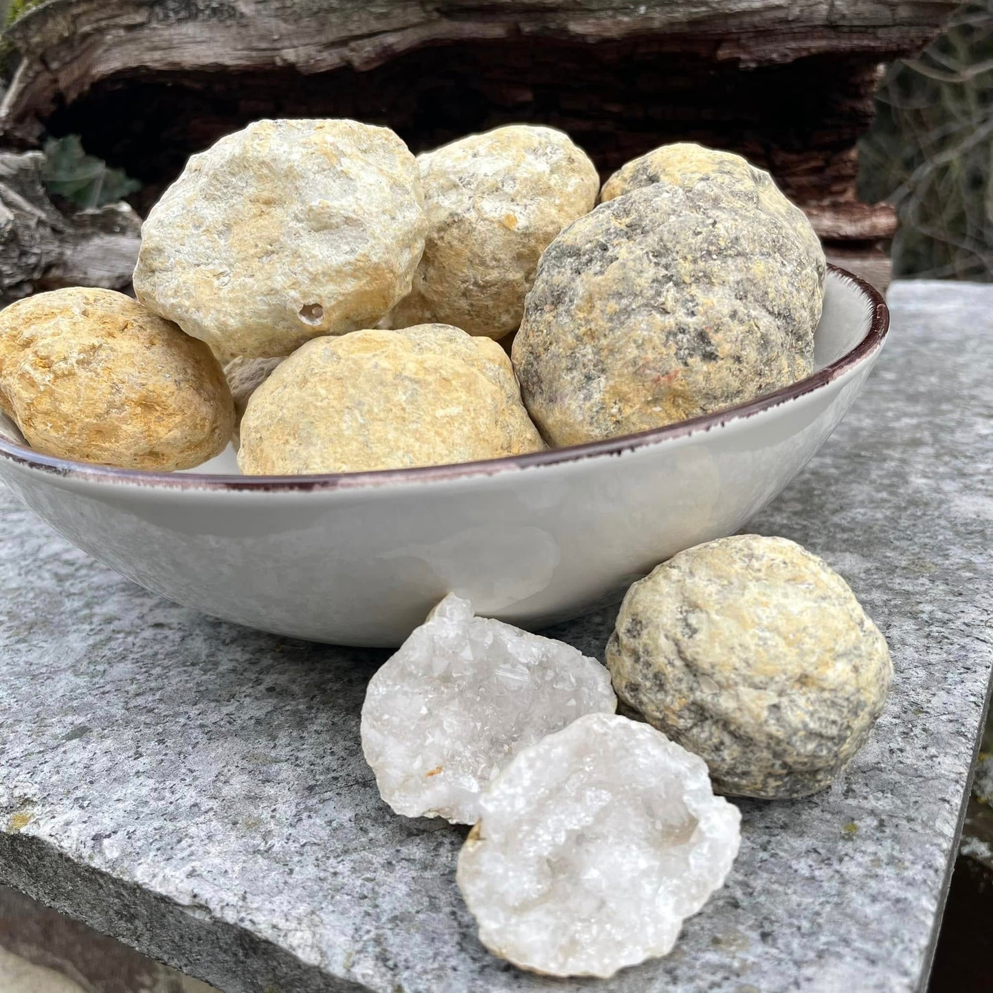 Knackgeoden zum Selberöffnen