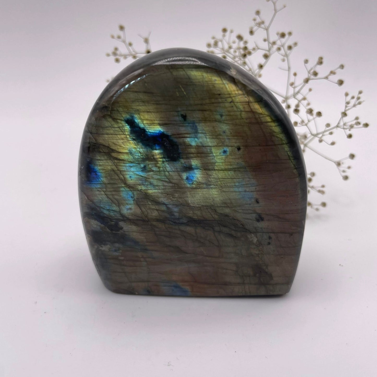 Labradorit Freeform "Gold"