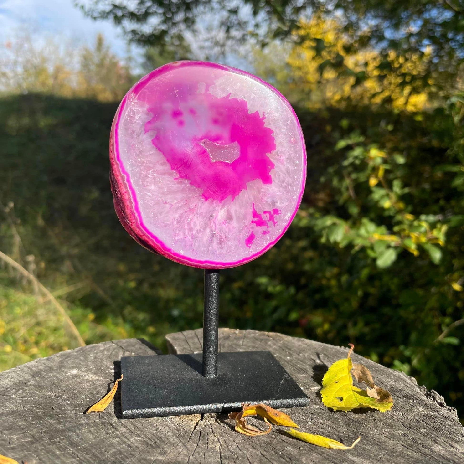 Achat-Lolly ROSA