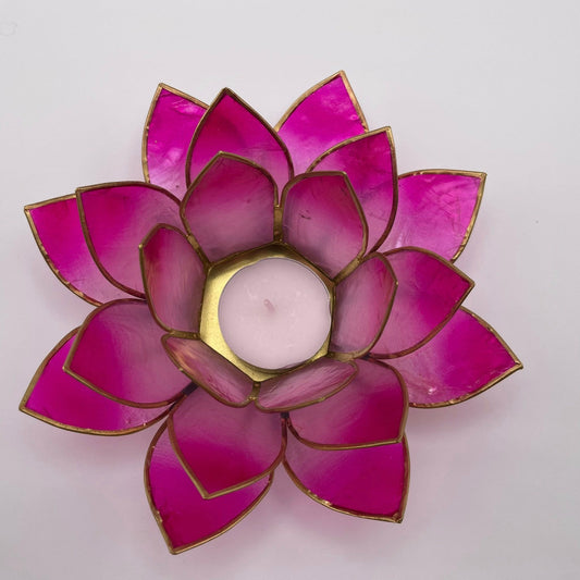 Lotusblüte ROSA