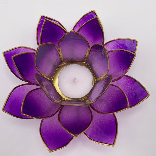 Lotusblüte VIOLETT
