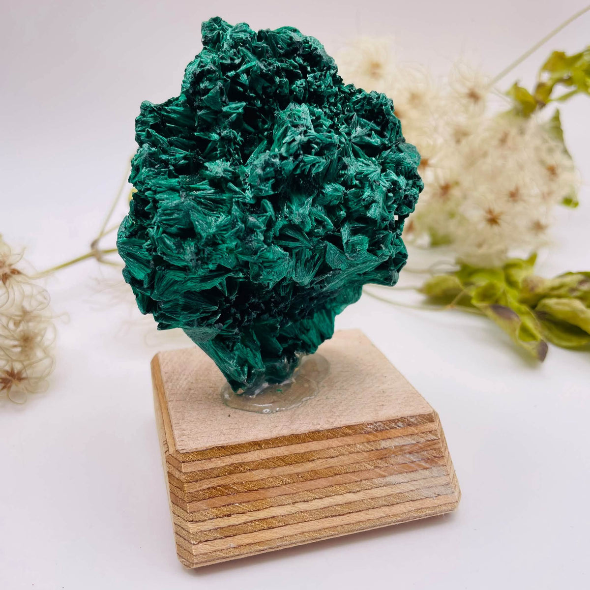 Malachit-Stufe auf Holzsockel, ca. 7 × 4 × 8,5 cm, mit kräftig grüner Oberfläche – Unikat von WUNDERSTEIN
