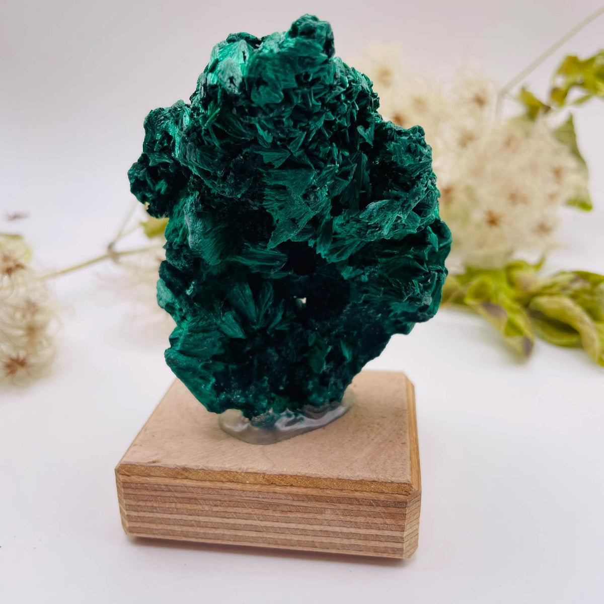Rückseite von Malachit-Stufe auf Holzsockel, ca. 7 × 4 × 8,5 cm, mit kräftig grüner Oberfläche – Unikat von WUNDERSTEIN
