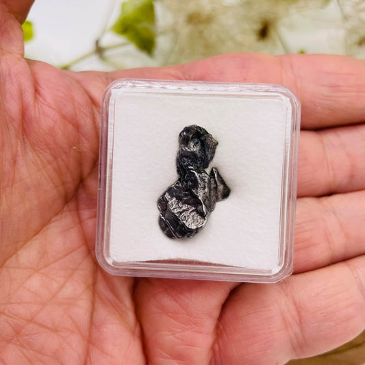 Meteorit in Sammelbox Nr. 1, ca. 2,2 × 1,5 × 0,4 cm – handverlesenes Unikat von WUNDERSTEIN
