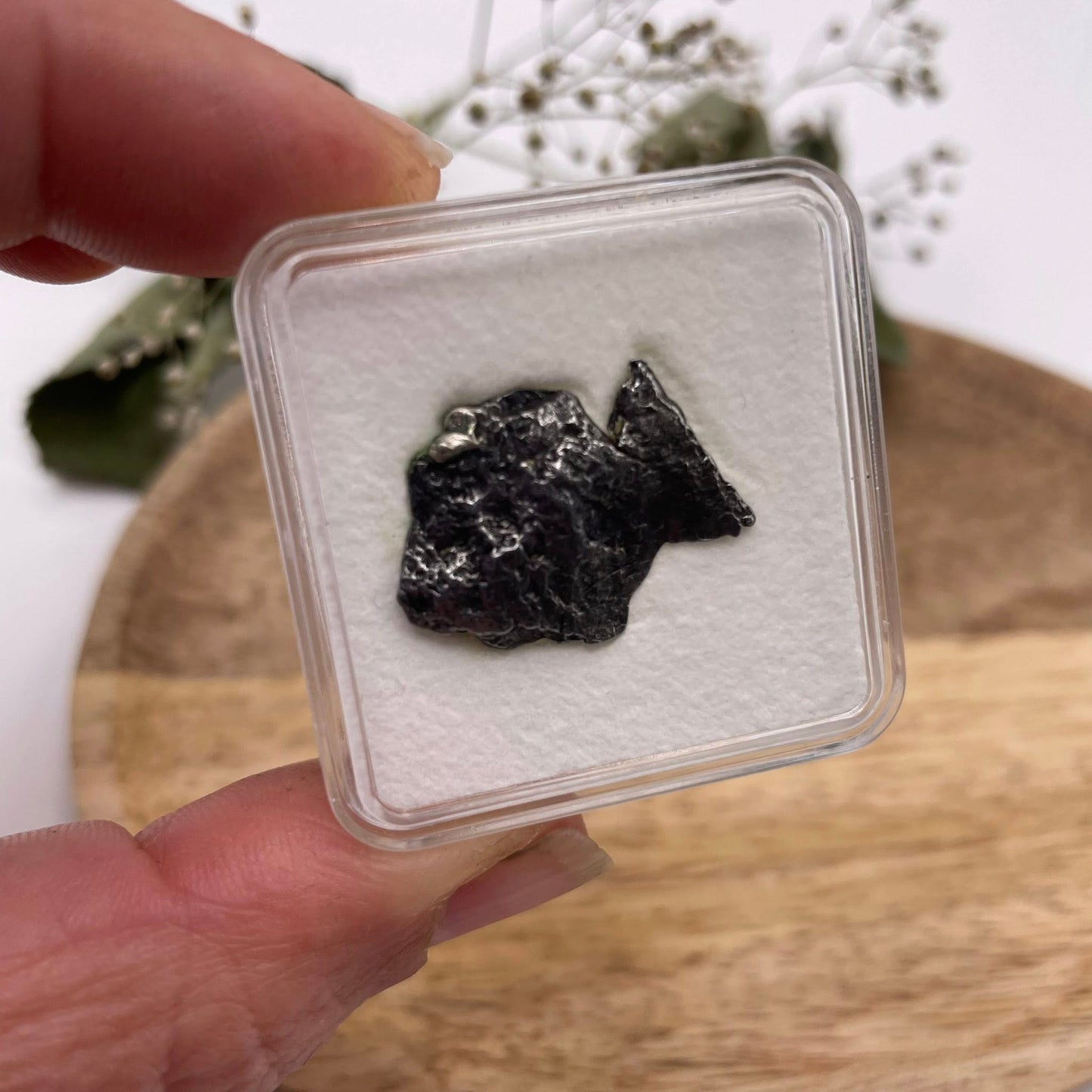 Meteorit in Sammelbox – Ein echtes Stück Weltraum