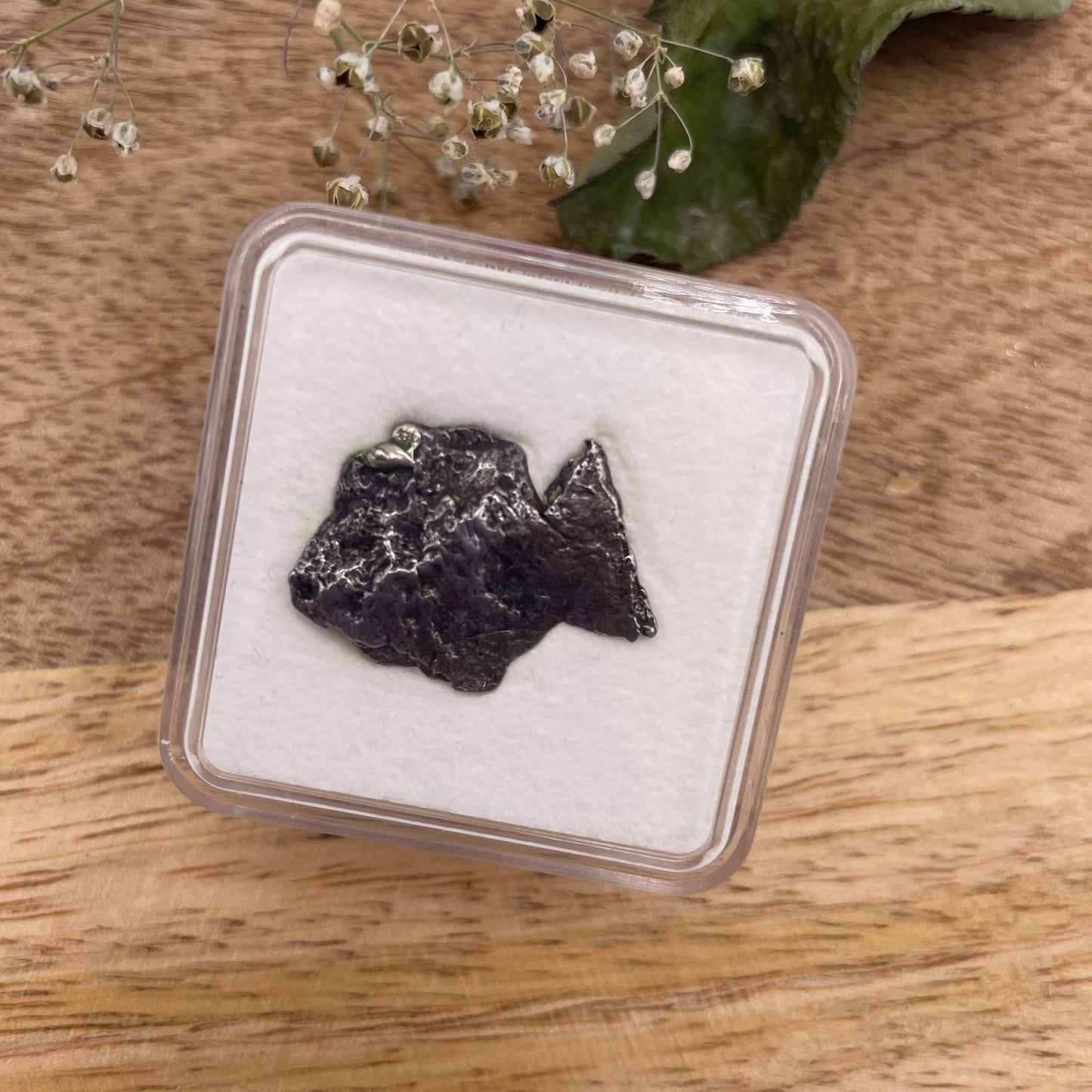 Meteorit in Sammelbox – Ein echtes Stück Weltraum