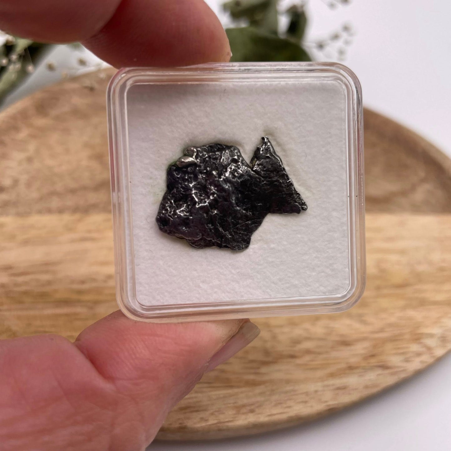 Meteorit in Sammelbox – Ein echtes Stück Weltraum