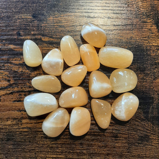 Orangencalzit